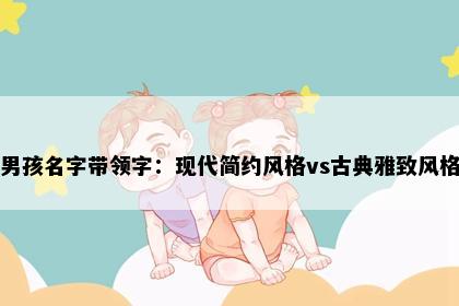 男孩名字带领字：现代简约风格vs古典雅致风格