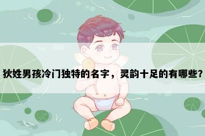 狄姓男孩冷门独特的名字，灵韵十足的有哪些？