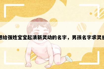 想给强姓宝宝起清新灵动的名字，男孩名字求灵感